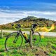 Erinnerung an den Herbst vor 4 Jahren . Die Limburg im Hintergrund.