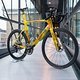 Vincent van Gogh Giant Aero Road Bike persfotoLR14