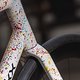 Craft Bike Days – Eddy Merckx-14