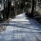 Plesch mit Schnee Römaskogl