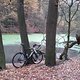 Bike &amp; See &amp; Bäume