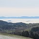 Black Forest Winter Classics 🌞🥶 statt Langlauf mangels Schnee 😭😭😭
Geiersnest - Schauinsland - St. Märgen 🤍❤️