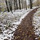 Mit der Bahn zum Taunus. Erster Schneefall.
3 Grad trocken.180 Höhenmeter.
Schöner 2 Std Lauf mehr nach unten.