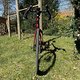 IMG 3994