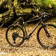 Das Testrad ist mit Variostütze, Rock-Shox Rudy Federgabel und AXS Eagle-Mullet zudem für Gravel Traileinsatz vorbereitet.