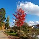 Herbstgenussrunde