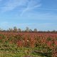 Gravel-Tour bei sonnigem Herbstwetter