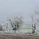 Frostiger, nebliger Sonntagsspaziergang