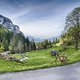 Märchenlandschaft - Schweiz