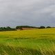 Landschaft auf Falster