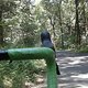 Bike &amp; Wald