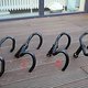IMG 5648