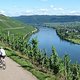 Mosel bei Longuich
