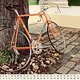Juli – Eddy Merckx TdF Rad