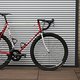 IMG 6173