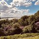 Waseberg
