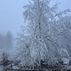 Durch den Eisnebel