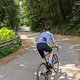 Argon18 Sum Pushbikers