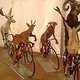 animals on bikes