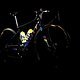 SCOTTSports MitcheltonSCOTT VanVleuten AddictRC Bike 2020 DetailShots bySamFlanagan 0L7B0196 HighRes