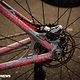 CX Bikes der Pros 2020-116