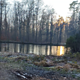 Nebliger Tag 
minus 1 Grad 
Ab  zu zweit in den Taunus wandern.
Wunderschöne Natur mit Sonne und Raureif.