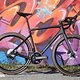 Das Rose Reveal 06 ist ein typisches Endurance-Rennrad