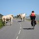 Col d&#039;Aubisque