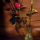 The Last Mother‘s Day Rose With Iris And Their Shadow