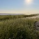 Fährmannsand