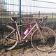 IMG 20250320 165817