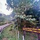 Koh Lanta - National Park