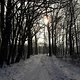 Winterwunderland Polsum