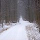 Winterpokal-Aktivität