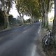 Platanenallee bei St.-Remy-de-Provence