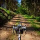 Der wunderbare Waldweg-Nadel-Teppichboden by Huegelreiter