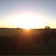 MdRzA - Herbstliche Morgensonne bei Tollerton, Notts.