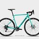 Canyon Inflite AL SLX 2019: in Hot Mint...