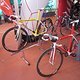 Wilier-Stand