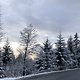 Winter-Rückkehr