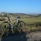 olles Cannondale in Februarsonne