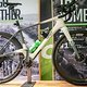 Sea Otter Classic Tag1-130