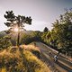 Col de Turini