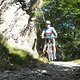 Alpe Cardada Trail