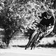 Potentes Gravel Race Bike