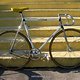 giuseppe limongi track bike