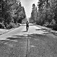 Yosemite - Roadbike