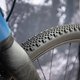 Sea Otter Classic Tag1-31