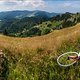 Belchen view with a bike