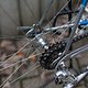 Rabeneick-Nuovo-Campagnolo IMG 3001